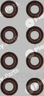 Victor Reinz 12-52984-01 — Seal Set, valve stem