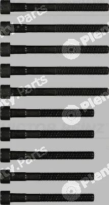 Victor Reinz 14-55029-01 — Cylinder Head Bolt Set