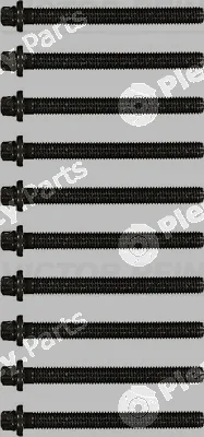 Victor Reinz 14-32002-01 — Cylinder Head Bolt Set