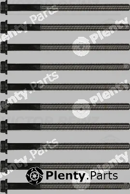 Victor Reinz 14-32019-02 — Cylinder Head Bolt Set