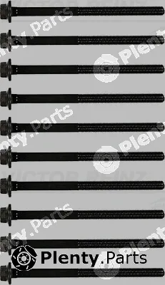 Victor Reinz 14-32169-01 — Cylinder Head Bolt Set