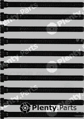 Victor Reinz 14-32196-02 — Cylinder Head Bolt Set