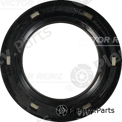 Victor Reinz 81-35035-00 — Shaft Seal, crankshaft