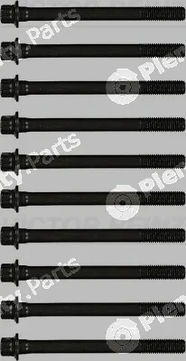 Victor Reinz 14-55074-01 — Cylinder Head Bolt Set