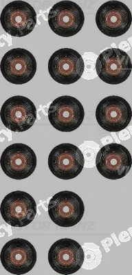 Victor Reinz 12-37728-01 — Seal Set, valve stem