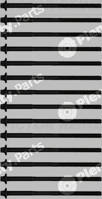 Victor Reinz 14-32365-01 — Cylinder Head Bolt Set