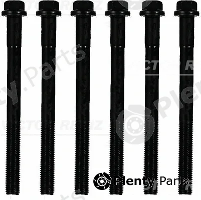 Victor Reinz 14-32285-01 — Cylinder Head Bolt Set