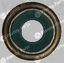 Victor Reinz 70-17719-00 — Seal Ring, valve stem