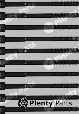 Victor Reinz 14-55035-01 — Cylinder Head Bolt Set