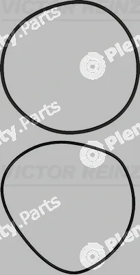 Victor Reinz 15-73556-01 — O-Ring Set, cylinder sleeve