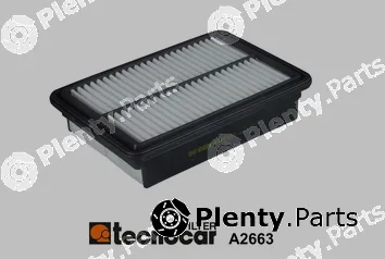 Tecnocar A2663 — Air Filter