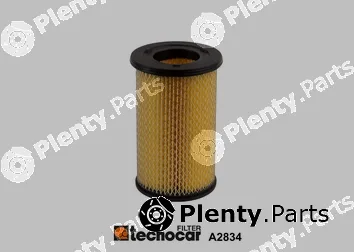 Tecnocar A2834 — Air Filter