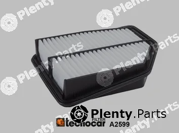 Tecnocar A2599 — Air Filter