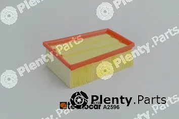 Tecnocar A2596 — Air Filter