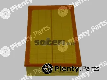 Tecnocar A299 — Air Filter