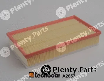 Tecnocar A2657 — Air Filter
