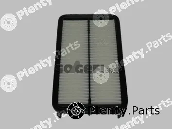 Tecnocar A137 — Air Filter