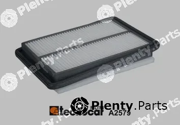 Tecnocar A2579 — Air Filter