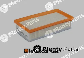 Tecnocar A2567 — Air Filter