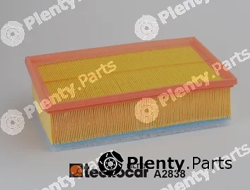 Tecnocar A2838 — Air Filter
