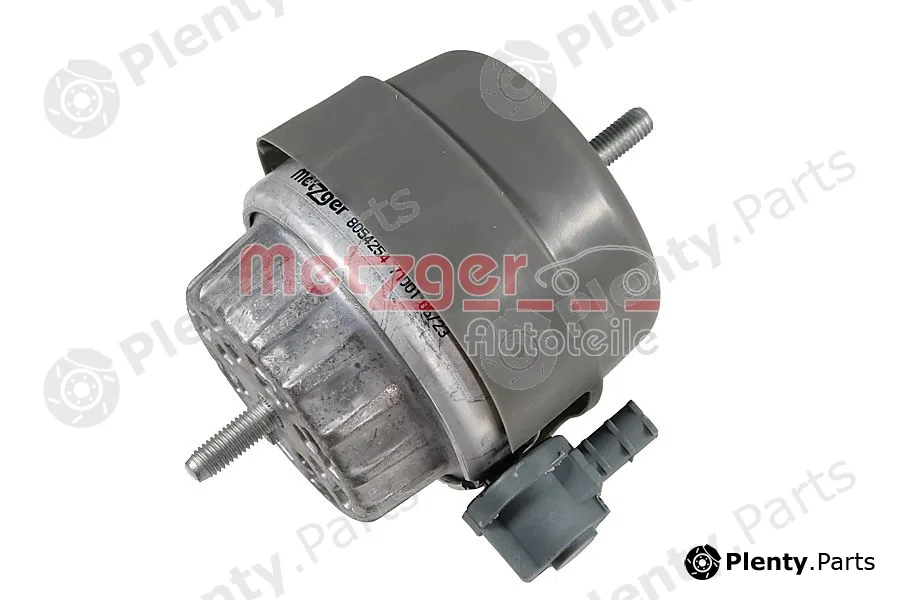 Metzger 8054254 — Mounting, engine