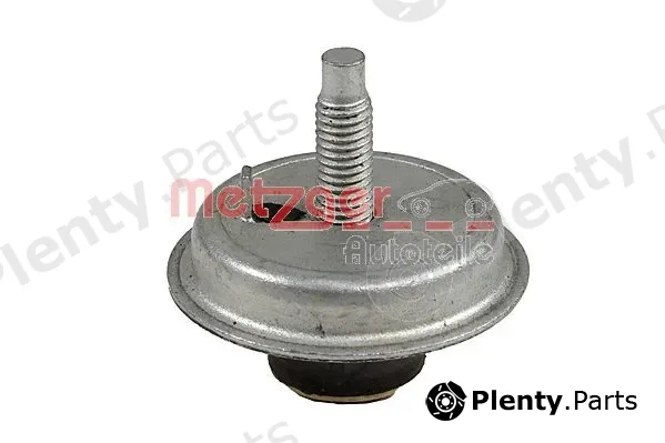 Metzger 8053899 — Mounting, engine