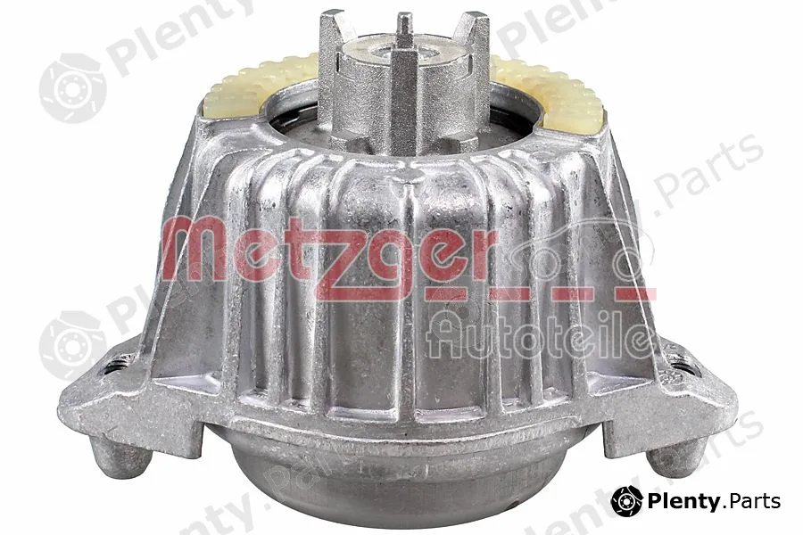 Metzger 8054240 — Mounting, engine