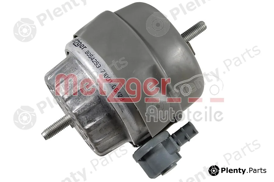 Metzger 8054253 — Mounting, engine