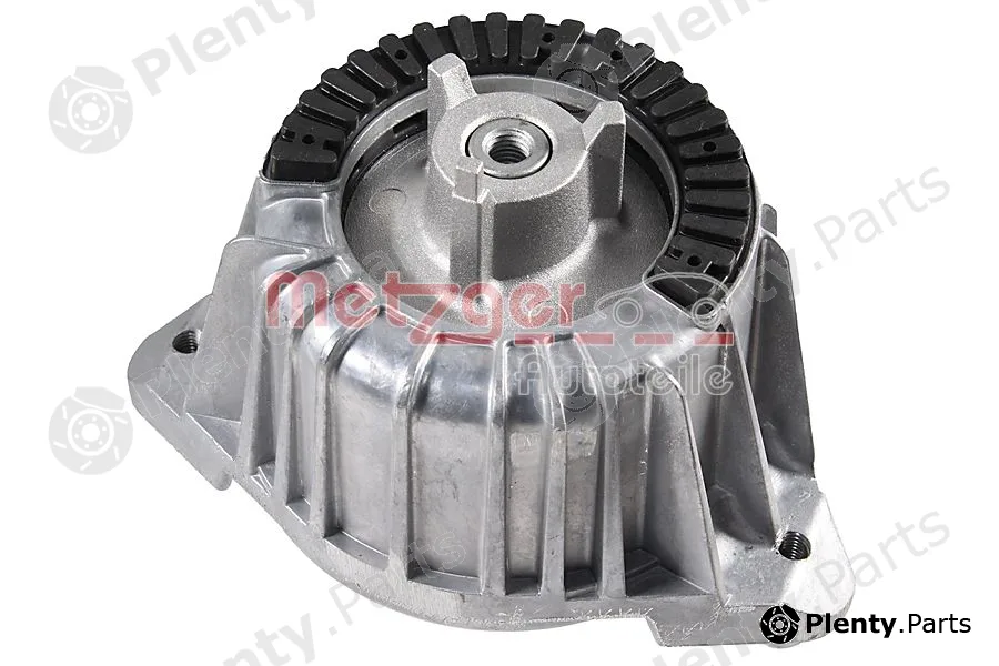 Metzger 8054132 — Mounting, engine