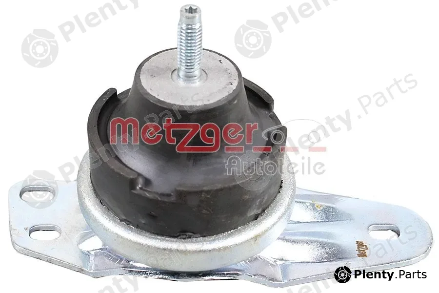 Metzger 8053950 — Mounting, engine