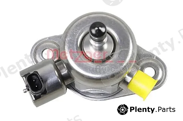 Metzger 2250498 — High Pressure Pump