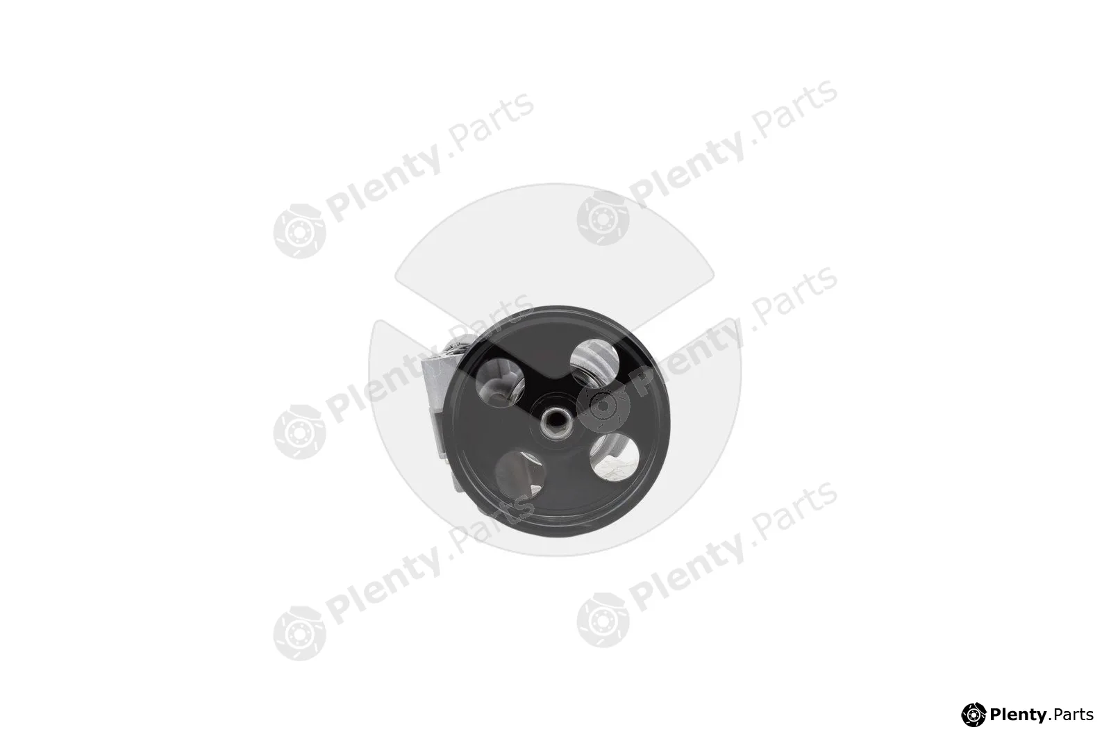 APSRemaGermany 350910 — Hydraulic Pump, steering