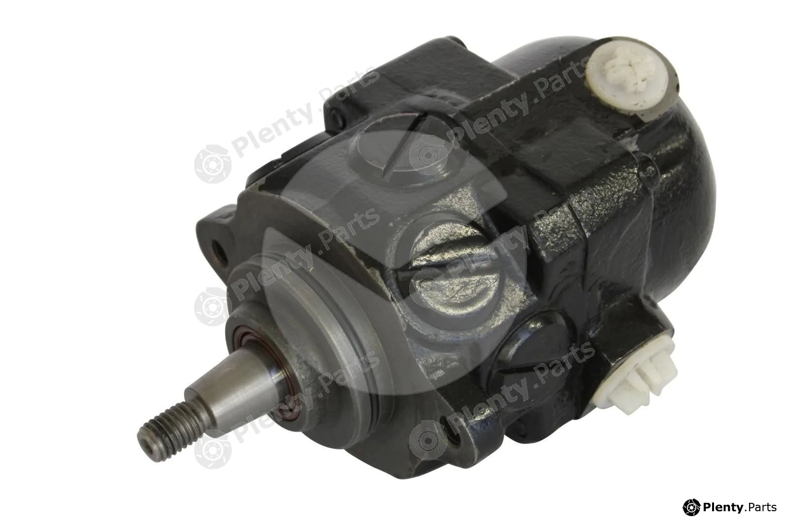 APSRemaGermany 301120 — Hydraulic Pump, steering