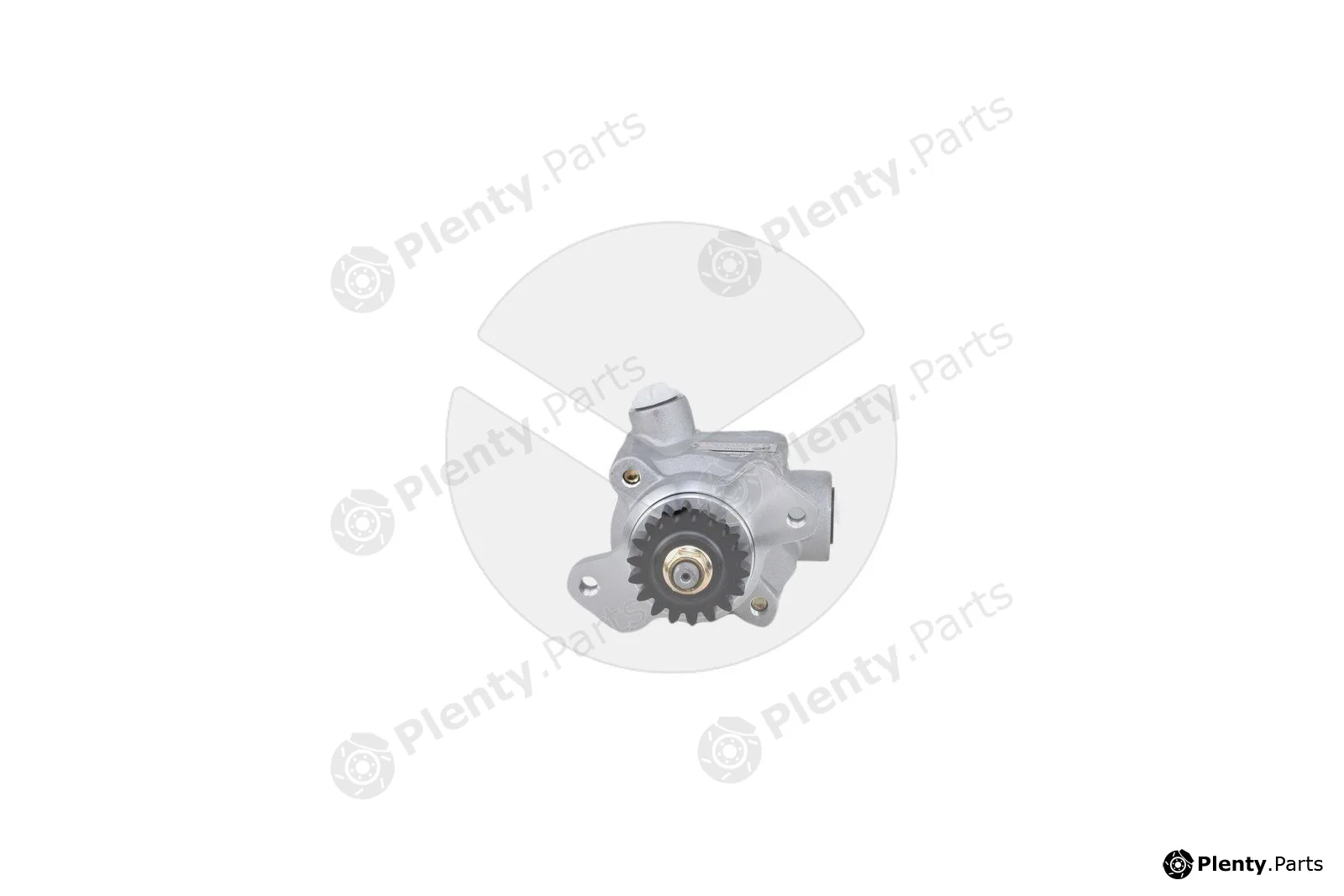 APSRemaGermany 301290 — Hydraulic Pump, steering
