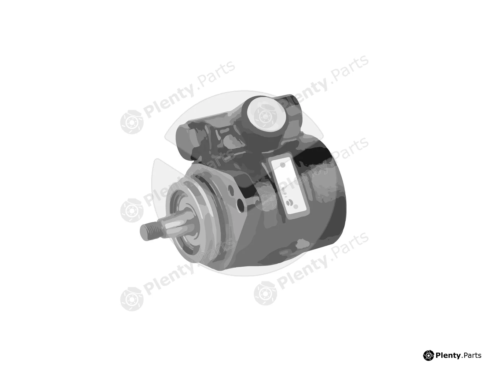 APSRemaGermany 301122 — Hydraulic Pump, steering