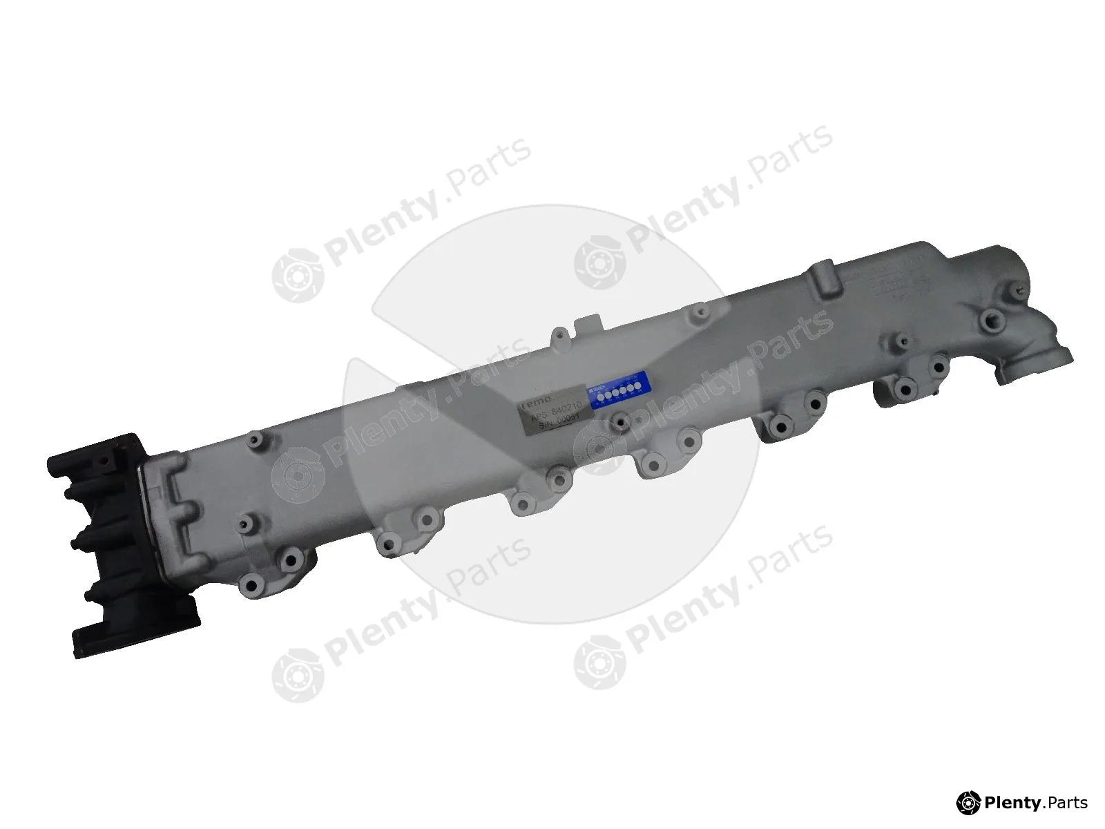 APSRemaGermany 840210 — EGR Module