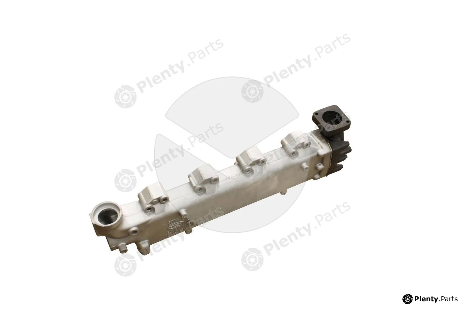 EGR Module