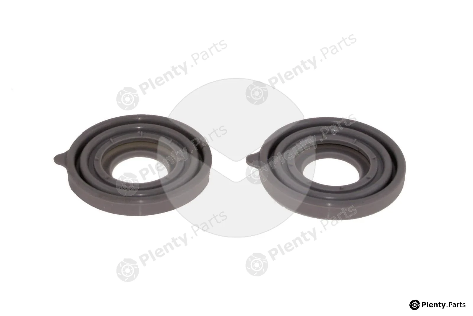 APSRemaGermany 610039 — Repair Kit, brake caliper