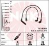 NGK 0710 Ignition Cable Kit