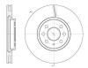 ROADHOUSE 6685.10 (668510) Brake Disc