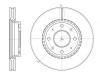 ROADHOUSE 6889.10 (688910) Brake Disc