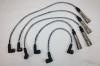 AUTOMEGA 309980031191A Ignition Cable Kit