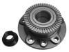 NK 753613 Wheel Bearing Kit