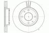 ROADHOUSE 6668.10 (666810) Brake Disc