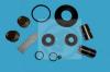 AUTOFREN SEINSA D41043 Repair Kit, brake caliper