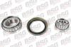 BSG BSG60-600-001 (BSG60600001) Wheel Bearing Kit