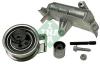 INA 530009009 Pulley Kit, timing belt