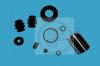 AUTOFREN SEINSA D41158C Repair Kit, brake caliper