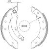 REMSA 4199.01 (419901) Brake Shoe Set