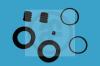 AUTOFREN SEINSA D4377 Repair Kit, brake caliper